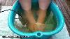 Comment Footbath Works Detox Comme Une Dinde